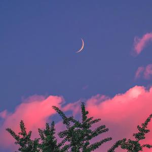 农民伯伯下乡妹2国语版电影免费观看
